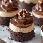 Mini Chocolate Cheesecake Bites with Fudge Ganache Frosting on a serving tray